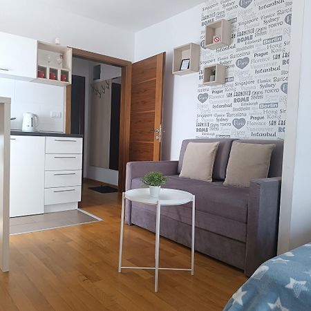 Apartments Karamarković Vrnjačka Banja Rum bild