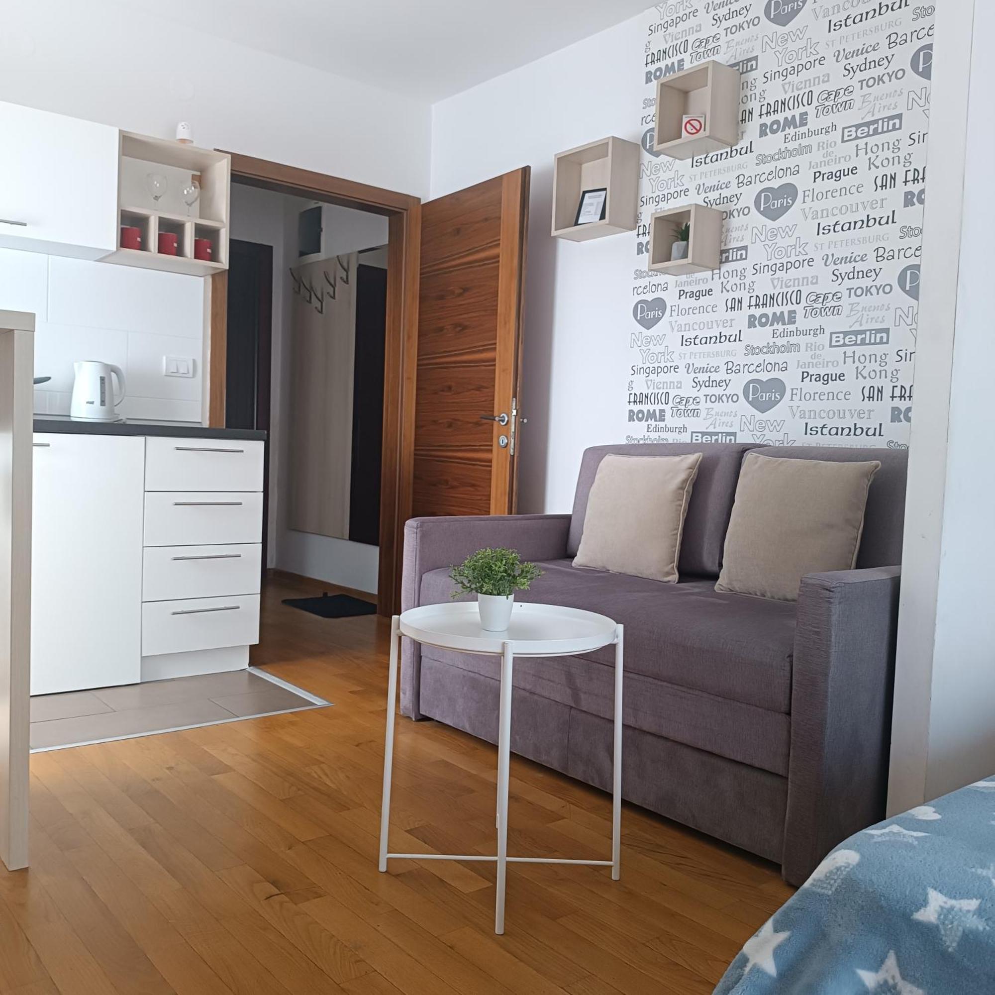 Apartments Karamarković Vrnjačka Banja Rum bild